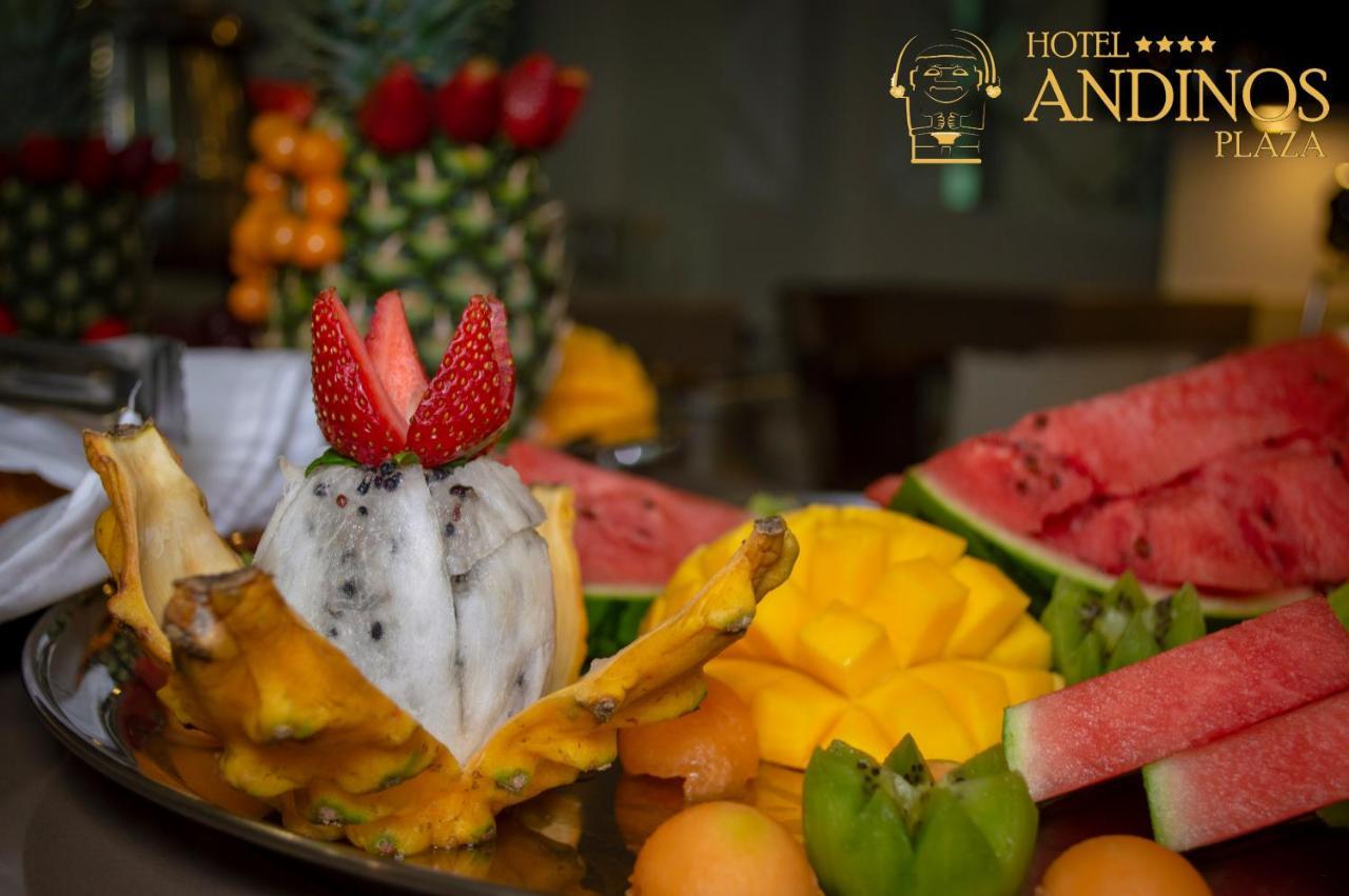Hotel Andinos Plaza